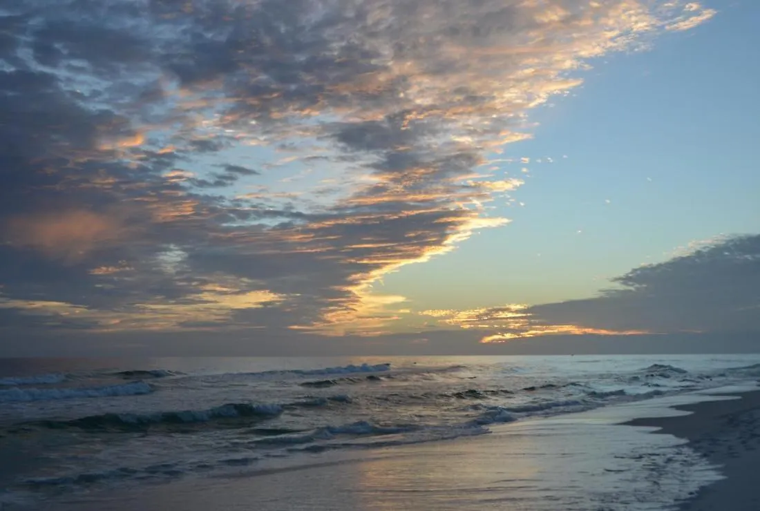 3101A Shoreline Towers Beachfront Rental Destin